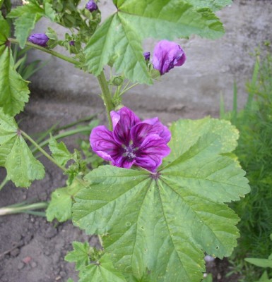 P10100 16_01 (19).jpg