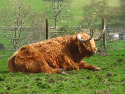 schottlandrundreise 2009 399.JPG