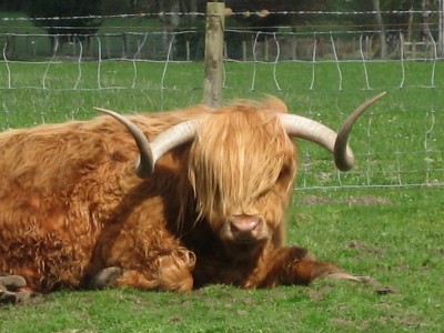 schottlandrundreise 2009 384.JPG