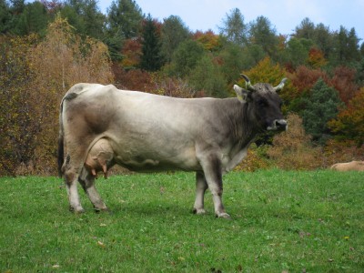 wehrburg oktober 2008 032.JPG