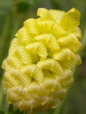 rätsel 091030 größer.jpg