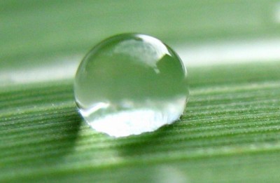 1498a Wassertropfen.jpg