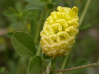 rätsel 091030 komplett.jpg