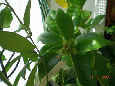 DSCN59010001.JPG