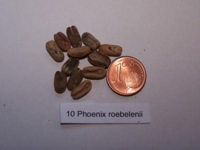 100_9295.jpg