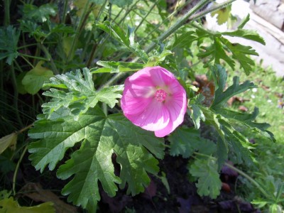 Kopie von PIC_0315.JPG