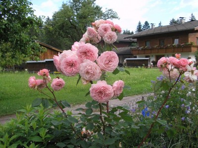 P1011653.JPG