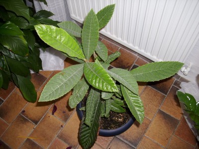 DSCI0771.JPG