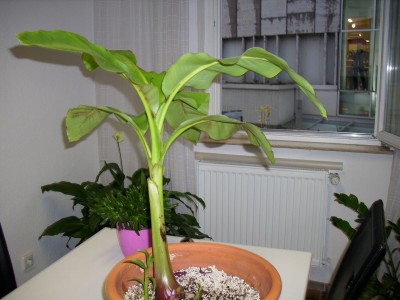 DSCI0774.JPG