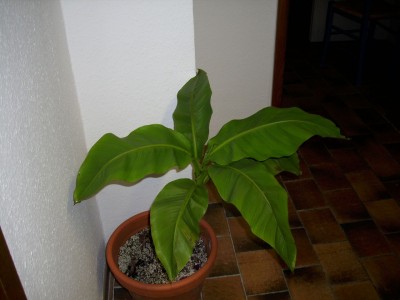 DSCI0775.JPG