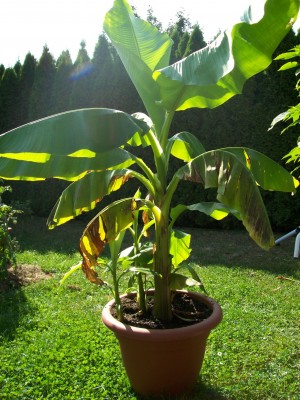 Bild 011.jpg