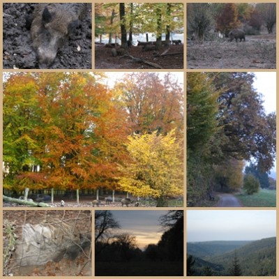 herbstliche eindruecke.jpg