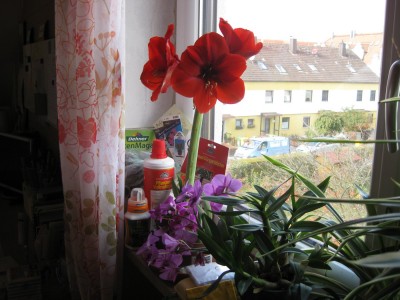 Bild 375_1400x1050.jpg