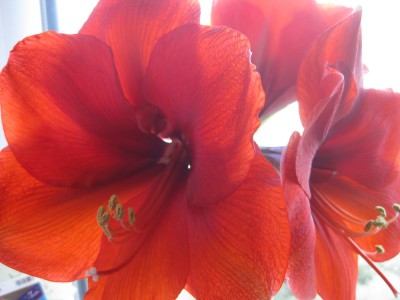 Bild 376_1400x1050.jpg