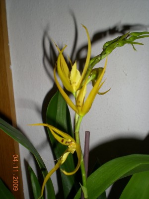 DSCN59340001.JPG