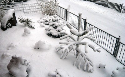 schnee2.JPG