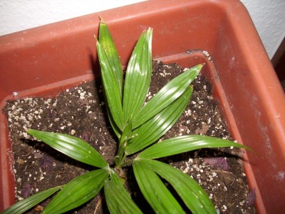 DSCI0780.JPG