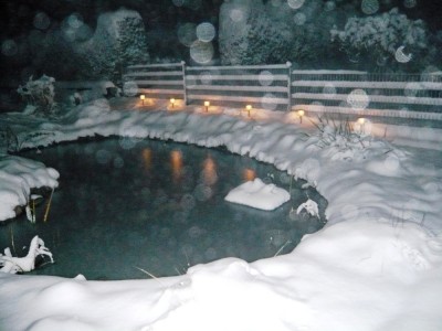 schnee3.JPG