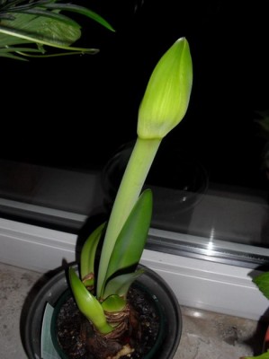 SDC11457_Bildgröße ändern_Bildgröße ändern.jpg