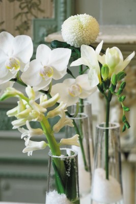 1911-winterblumen.jpg
