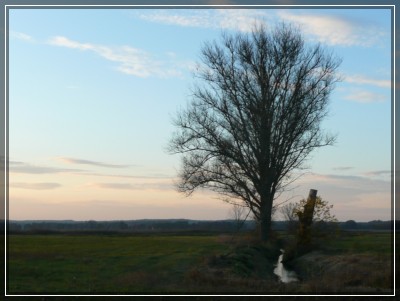 2009-11-07 550aR.jpg