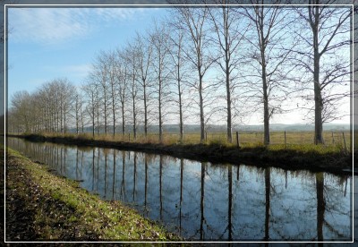 2009-11-07 447kleinR.jpg