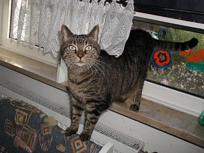 Holly 7.10.4.jpg