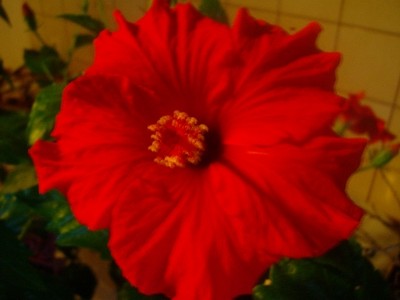 100D7427.JPG