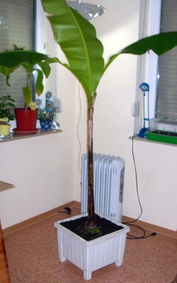 DSCI0012.JPG