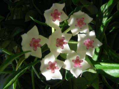 DSCN1199.JPG