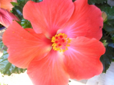 DSCN1195.JPG
