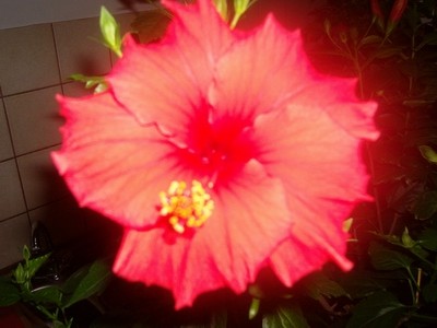 100D7401.JPG