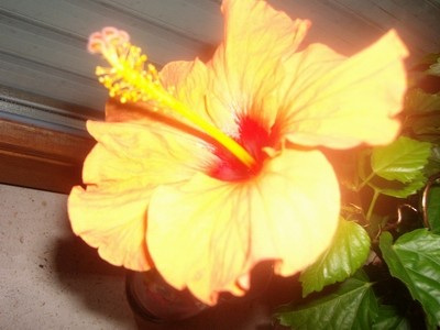 100D7397.JPG