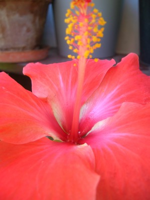 DSCN1193.JPG