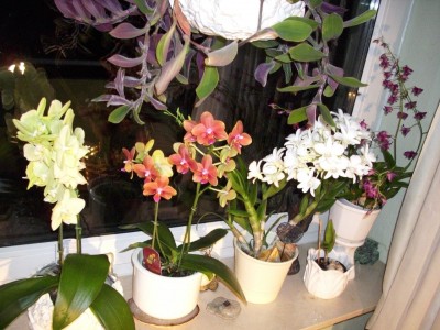 DSCI0793.JPG