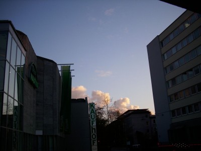 DSCI0785.JPG