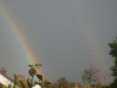 100D7435.JPG
