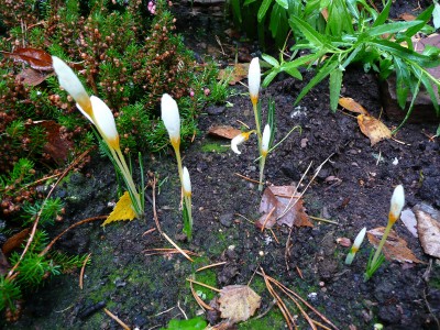 2009-11-09 046.jpg