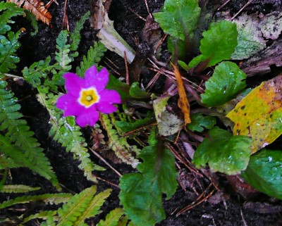 2009-11-09 026.jpg