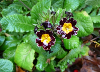 2009-11-09 009.jpg