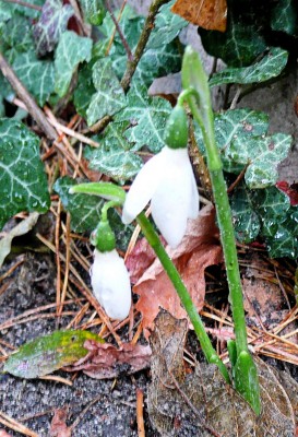2009-11-09 006.jpg