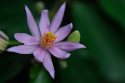 20091106-122n.jpg