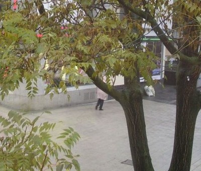 DSCI0799.JPG