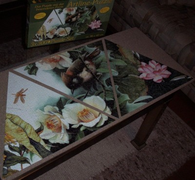 2009-11-09 Puzzle.jpg