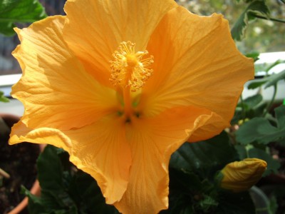 DSCF9496.JPG