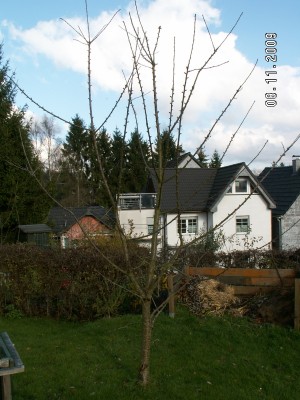 PICT0006.JPG