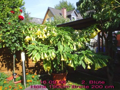Garten  01 klein.jpg