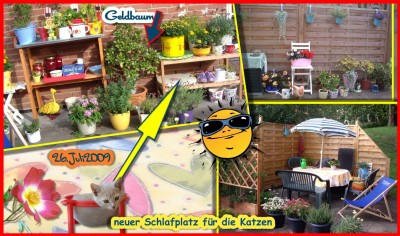 terrasse 26.7.2009.jpg