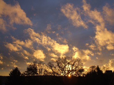 DSCF4557.JPG
