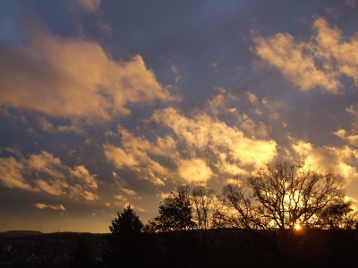 DSCF4555.JPG